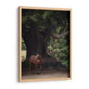 Caballo En Los Árboles Ii - Allen Friedlander | Cuadro decorativo de Canvas Lab
