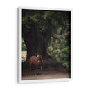 Caballo En Los Árboles Ii - Allen Friedlander | Cuadro decorativo de Canvas Lab