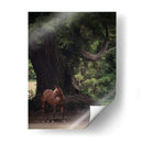 Caballo En Los Árboles Ii - Allen Friedlander | Cuadro decorativo de Canvas Lab