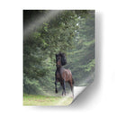 Caballo En Los Árboles Iii - Allen Friedlander | Cuadro decorativo de Canvas Lab