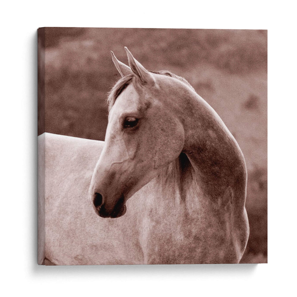 Tempestad - Allen Friedlander | Cuadro decorativo de Canvas Lab