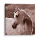 Tempestad - Allen Friedlander | Cuadro decorativo de Canvas Lab