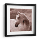 Tempestad - Allen Friedlander | Cuadro decorativo de Canvas Lab