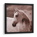 Tempestad - Allen Friedlander | Cuadro decorativo de Canvas Lab