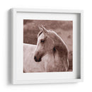 Tempestad - Allen Friedlander | Cuadro decorativo de Canvas Lab