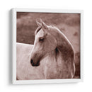 Tempestad - Allen Friedlander | Cuadro decorativo de Canvas Lab