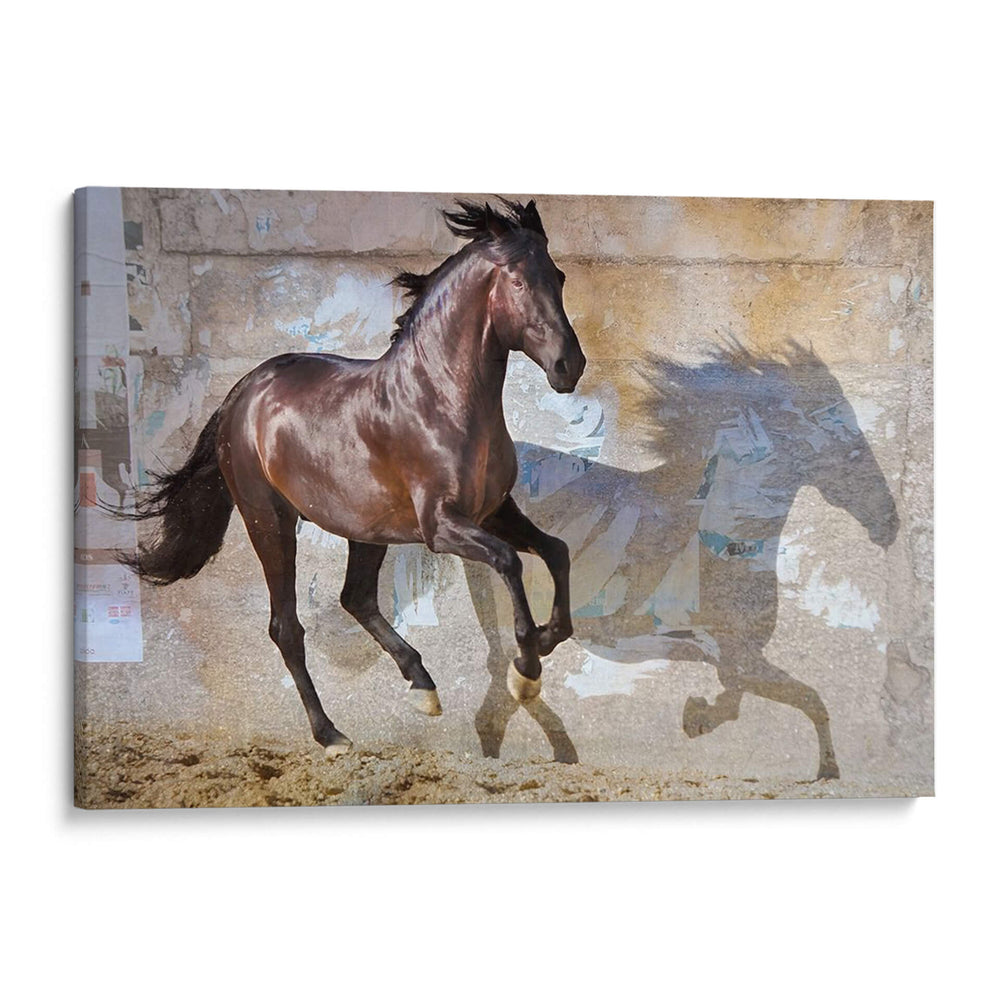 Sombra - Allen Friedlander | Cuadro decorativo de Canvas Lab
