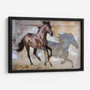 Sombra - Allen Friedlander | Cuadro decorativo de Canvas Lab