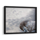 Vito - Allen Friedlander | Cuadro decorativo de Canvas Lab