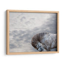 Vito - Allen Friedlander | Cuadro decorativo de Canvas Lab