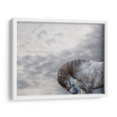 Vito - Allen Friedlander | Cuadro decorativo de Canvas Lab