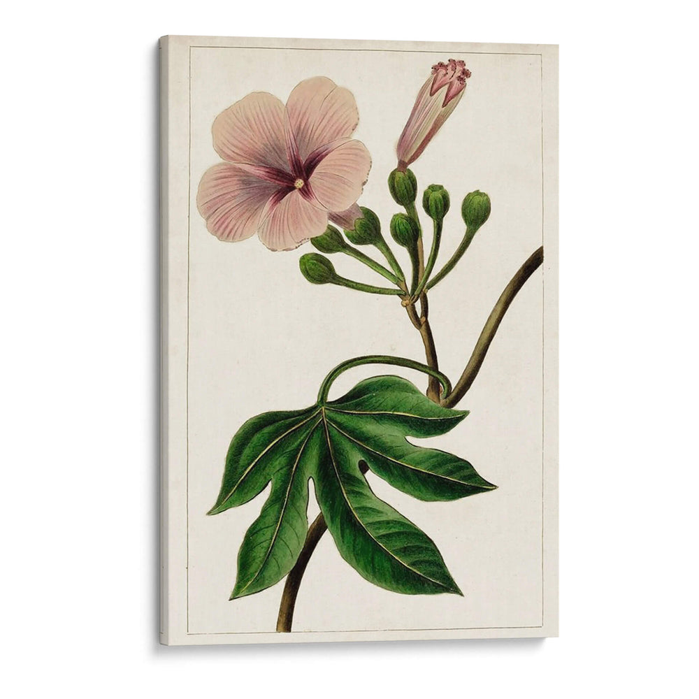Mova Botánico I | Cuadro decorativo de Canvas Lab