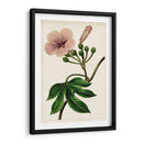 Mova Botánico I | Cuadro decorativo de Canvas Lab