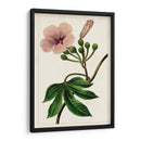 Mova Botánico I | Cuadro decorativo de Canvas Lab