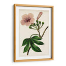 Mova Botánico I | Cuadro decorativo de Canvas Lab