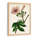 Mova Botánico I | Cuadro decorativo de Canvas Lab