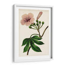 Mova Botánico I | Cuadro decorativo de Canvas Lab