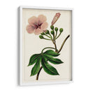 Mova Botánico I | Cuadro decorativo de Canvas Lab