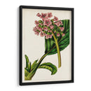 Mova Botánico Ii | Cuadro decorativo de Canvas Lab