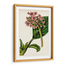 Mova Botánico Ii | Cuadro decorativo de Canvas Lab