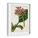 Mova Botánico Ii | Cuadro decorativo de Canvas Lab