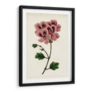 Mova Botánico Iii | Cuadro decorativo de Canvas Lab