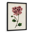 Mova Botánico Iii | Cuadro decorativo de Canvas Lab