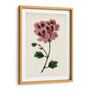 Mova Botánico Iii | Cuadro decorativo de Canvas Lab