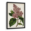 Malve Botanicals Iv | Cuadro decorativo de Canvas Lab