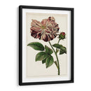 Mova Botánico V | Cuadro decorativo de Canvas Lab