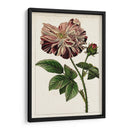 Mova Botánico V | Cuadro decorativo de Canvas Lab