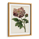 Mova Botánico V | Cuadro decorativo de Canvas Lab