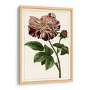 Mova Botánico V | Cuadro decorativo de Canvas Lab