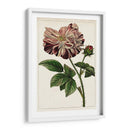 Mova Botánico V | Cuadro decorativo de Canvas Lab