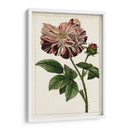 Mova Botánico V | Cuadro decorativo de Canvas Lab