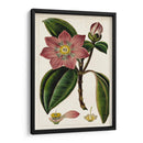 Mauve Botánicos Vi | Cuadro decorativo de Canvas Lab