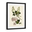 Verde Oliva I | Cuadro decorativo de Canvas Lab