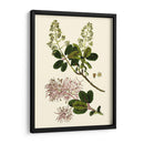 Verde Oliva I | Cuadro decorativo de Canvas Lab