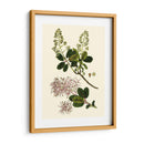 Verde Oliva I | Cuadro decorativo de Canvas Lab