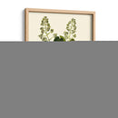 Verde Oliva I | Cuadro decorativo de Canvas Lab