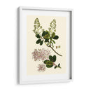 Verde Oliva I | Cuadro decorativo de Canvas Lab