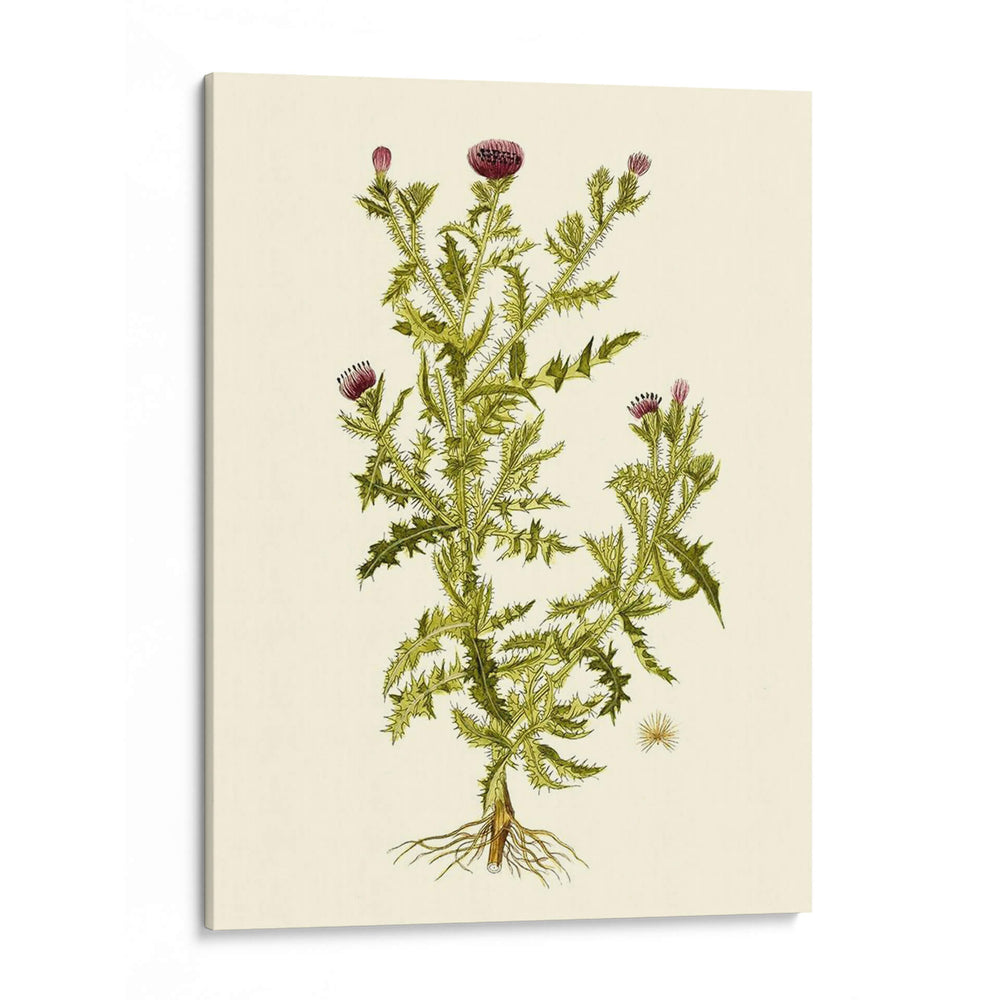 Verde Oliva Ii | Cuadro decorativo de Canvas Lab