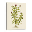 Verde Oliva Ii | Cuadro decorativo de Canvas Lab