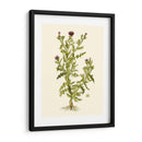 Verde Oliva Ii | Cuadro decorativo de Canvas Lab