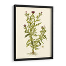 Verde Oliva Ii | Cuadro decorativo de Canvas Lab