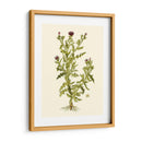 Verde Oliva Ii | Cuadro decorativo de Canvas Lab