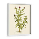 Verde Oliva Ii | Cuadro decorativo de Canvas Lab