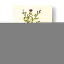 Verde Oliva Ii | Cuadro decorativo de Canvas Lab