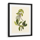 Verde Oliva Iii | Cuadro decorativo de Canvas Lab