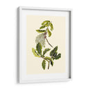 Verde Oliva Iii | Cuadro decorativo de Canvas Lab